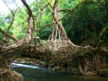 Shillong-511507_1